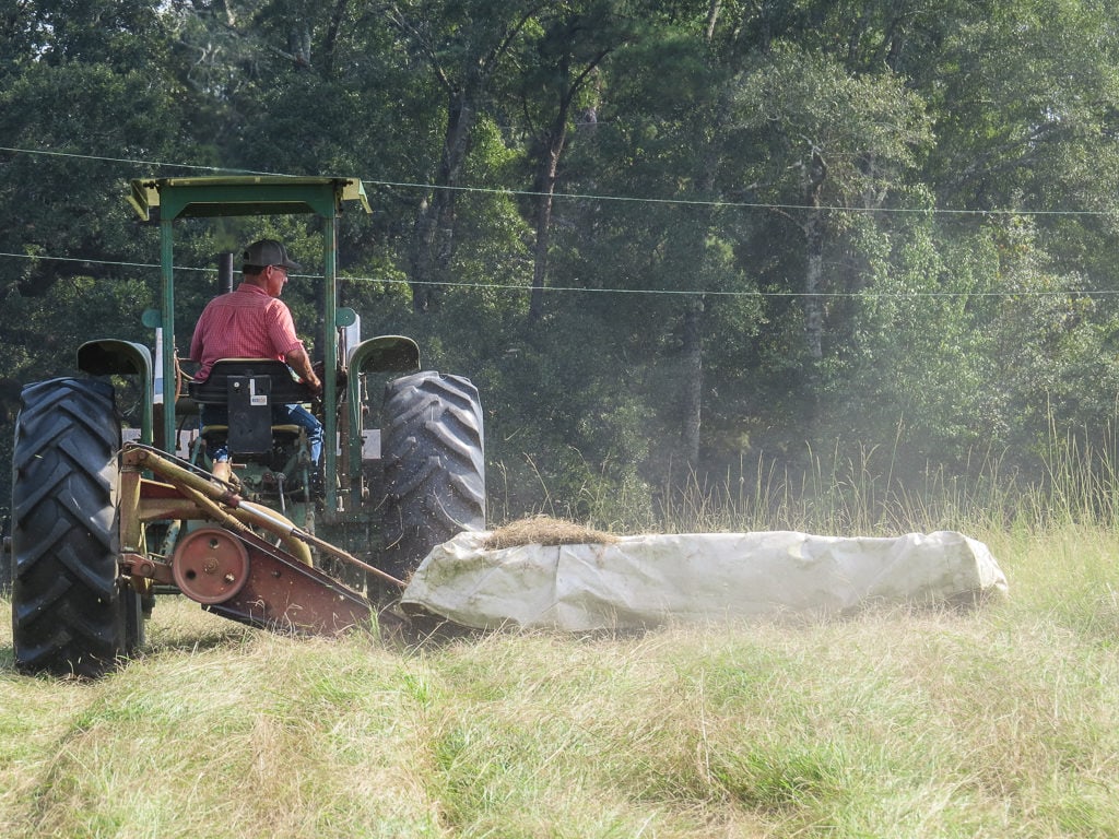 Hay being cut for baling