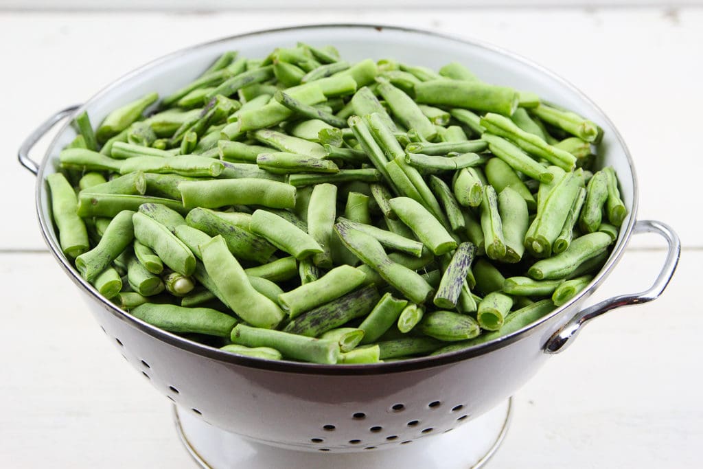 Showing what green beans ready to can look like.